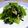 ななぐくん's cooksnap of when they made にんにく風味がおぃしぃ小松菜炒め♪.