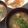 knoflook's cooksnap of when they made ◆秋♡ほっこりあったか♡秋鮭のお味噌汁◆.