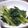 ちばたま's cooksnap of when they made 白ゴマたっぷり！小松菜のおひたし.