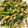 クック2H9MD0☆'s cooksnap of when they made 簡単美味しいニラの卵とじ.