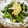 はらぺこ青虫's cooksnap of when they made 鉄分たっぷり！切干大根と青菜の和え物.