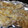みわさー's cooksnap of when they made お手軽☆ささみのチーズマヨ焼.