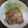 yuandpeco's cooksnap of when they made 豚の生姜焼き.
