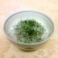 龍青空ママ's cooksnap of when they made 【弁当飯】しらすご飯に青のり.