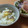buhhy's cooksnap of when they made さつま芋とジャコの炊き込みごはん.