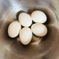 チェックのミニくま's cooksnap of when they made 放置で簡単！つるんと茹で卵のむき方♬.