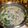 Tropicana✧'s cooksnap of when they made 豚肉と白菜の豆乳ごま味噌鍋.