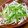うっちー0327's cooksnap of when they made 副菜　もやしとピーマンのあっさり茹で.