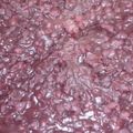 パンダだ's cooksnap of when they made つぶあん（圧力鍋使用）.