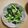ソルシエ's cooksnap of when they made 大根菜と長芋の からしゴマ酢みそ和え.