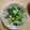 ソルシエ's cooksnap of when they made 大根菜と長芋の からしゴマ酢みそ和え.