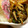 kyokoha's cooksnap of when they made ほうれん草ともやしの味噌炒め.