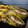 tonbo_asd's cooksnap of when they made サンマの梅しそ揚げ.