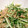 まめみ18's cooksnap of when they made 簡単!!!水菜とﾂﾅのおひたし★.