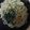かぴこかぴ's cooksnap of when they made 変わり蕎麦つゆ.