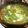 Satoco❋'s cooksnap of when they made 簡単ヘルシー♪三つ葉となめこの卵とじ.