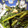 maruru-nn's cooksnap of when they made お義母さんから教わった空芯菜の炒め物.