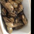しゅい6's cooksnap of when they made 牡蠣の佃煮.
