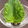 ４番目's cooksnap of when they made ＊大葉の保存方法＊.
