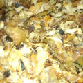 おはまいMai's cooksnap of when they made 出し殻でご飯のお供♪.