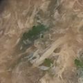 MULA's cooksnap of when they made 冷蔵庫の残り野菜で卵スープ.