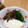 りっぴー・とーま's cooksnap of when they made 牛肉と牛蒡の時雨煮.