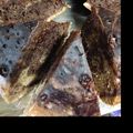 ともスクスク's cooksnap of when they made ＊*炊飯器で簡単マーブルケーキ＊*.