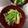 みにまふ's cooksnap of when they made ルクエで簡単！小松菜の煮浸し.
