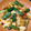 もぐもぐ5kids's cooksnap of when they made いかときゅうりの辛味炒め.