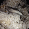 すばる723's cooksnap of when they made 美味しい簡単！包丁いらずの舞茸ごはん☆.