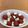 寝てる父's cooksnap of when they made トマトとクリームチーズのアンティパスト.