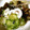 ひーたん35's cooksnap of when they made ミョウガでさっぱり！きゅうりの酢の物☆.