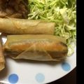 ゆぃﾁｬﾝのﾏﾏ's cooksnap of when they made ズッキーニとアスパラの春巻き.