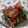volvol's cooksnap of when they made 小松菜のイタリアンナムル.