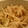かわはっち's cooksnap of when they made あと一品！大根の簡単マヨサラダ.
