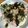 ＊nktn＊'s cooksnap of when they made ☆超簡単☆ツナマヨ丼.