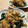 ふくもゆ's cooksnap of when they made ふわトロ玉子とほうれん草炒め！.