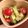はぁ♡'s cooksnap of when they made ＊簡単＊アボガドとトマトのサラダ＊.