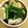 Rie621's cooksnap of when they made *じんわりおいしい小松菜*.