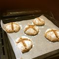 kaetzchaen's cooksnap of when they made カンパーニュ（クルミ・いちじく）.