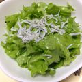 muumi☆'s cooksnap of when they made レタスとしらすのサラダ.