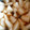 kam嫁's cooksnap of when they made 大根の煮物＊.