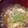 koodo's cooksnap of when they made 「白だし」で簡単★とろとろぉ~卵スープ.