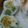 1すいか1's cooksnap of when they made 枝豆とはんぺんのチーズInボール.