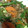 tete933's cooksnap of when they made ピーマンと挽肉炒め.