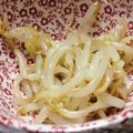ぽ＊ぽ＊ぽ's cooksnap of when they made ☆もやしのナムル♪簡単おつまみ☆.
