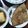 壬生艾（みぶよもぎ）'s cooksnap of when they made もっちり蓮根・大根餅♪.