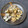 クックVW2MM6☆'s cooksnap of when they made 簡単美味しい♪あさりの酒蒸し.