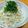 ちーまぐ's cooksnap of when they made 無限に食べれる大根サラダ！大根ツナサラダ.