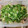 ゆかたんッ's cooksnap of when they made 鶏肉のねぎだく中華だれ.